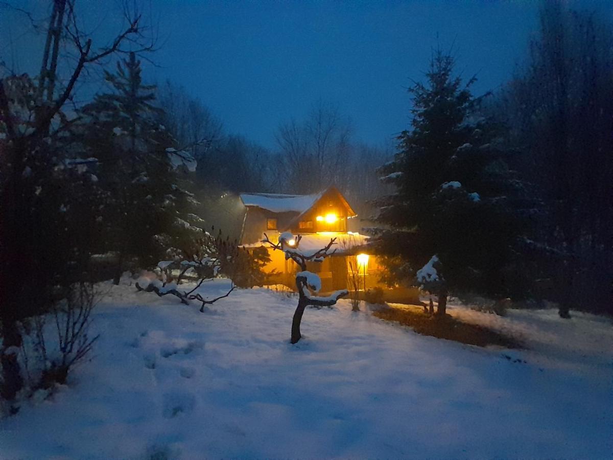 Cabana Din Padurea Valeni Vălenii de Munte المظهر الخارجي الصورة