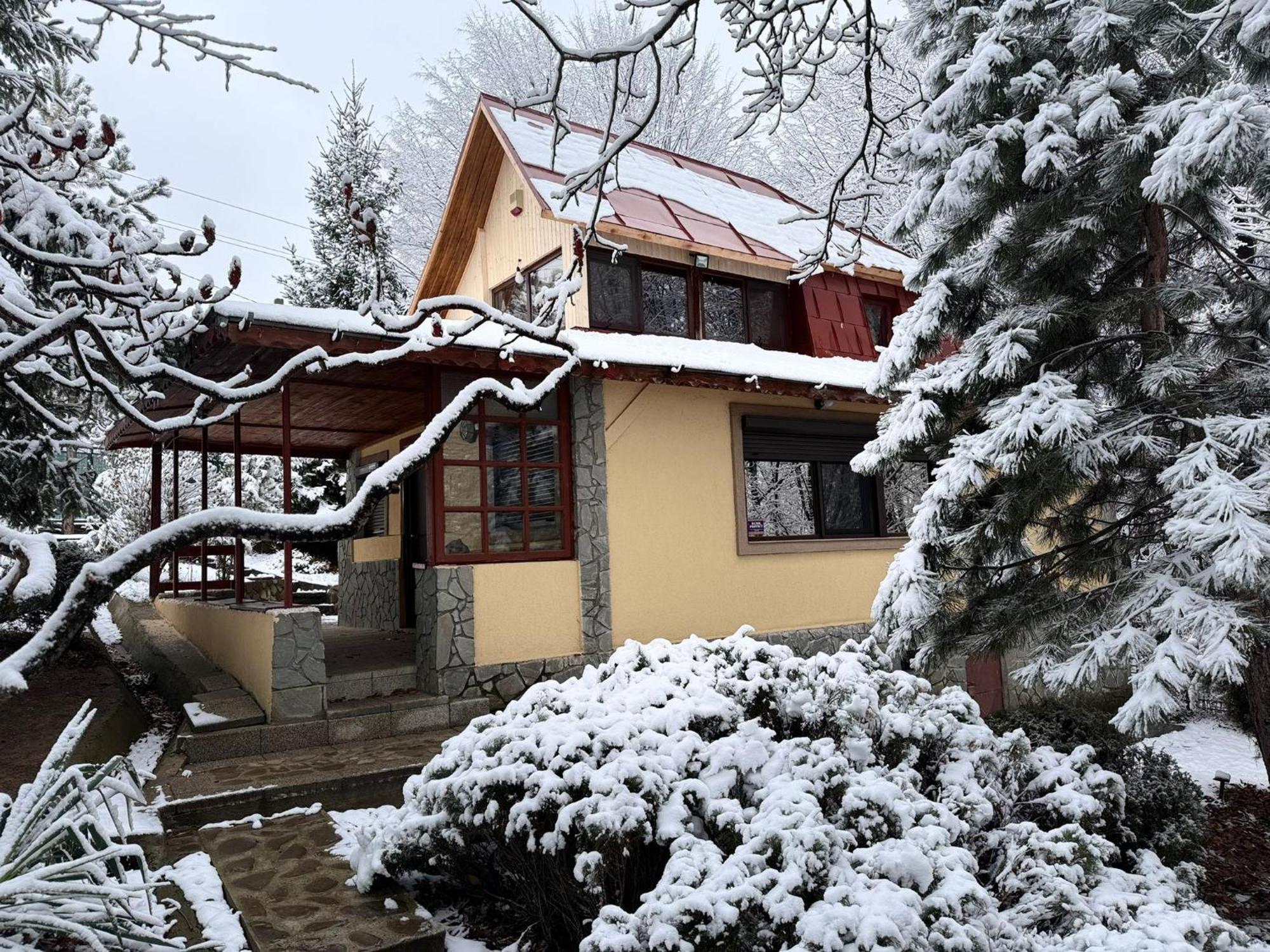 Cabana Din Padurea Valeni Vălenii de Munte المظهر الخارجي الصورة