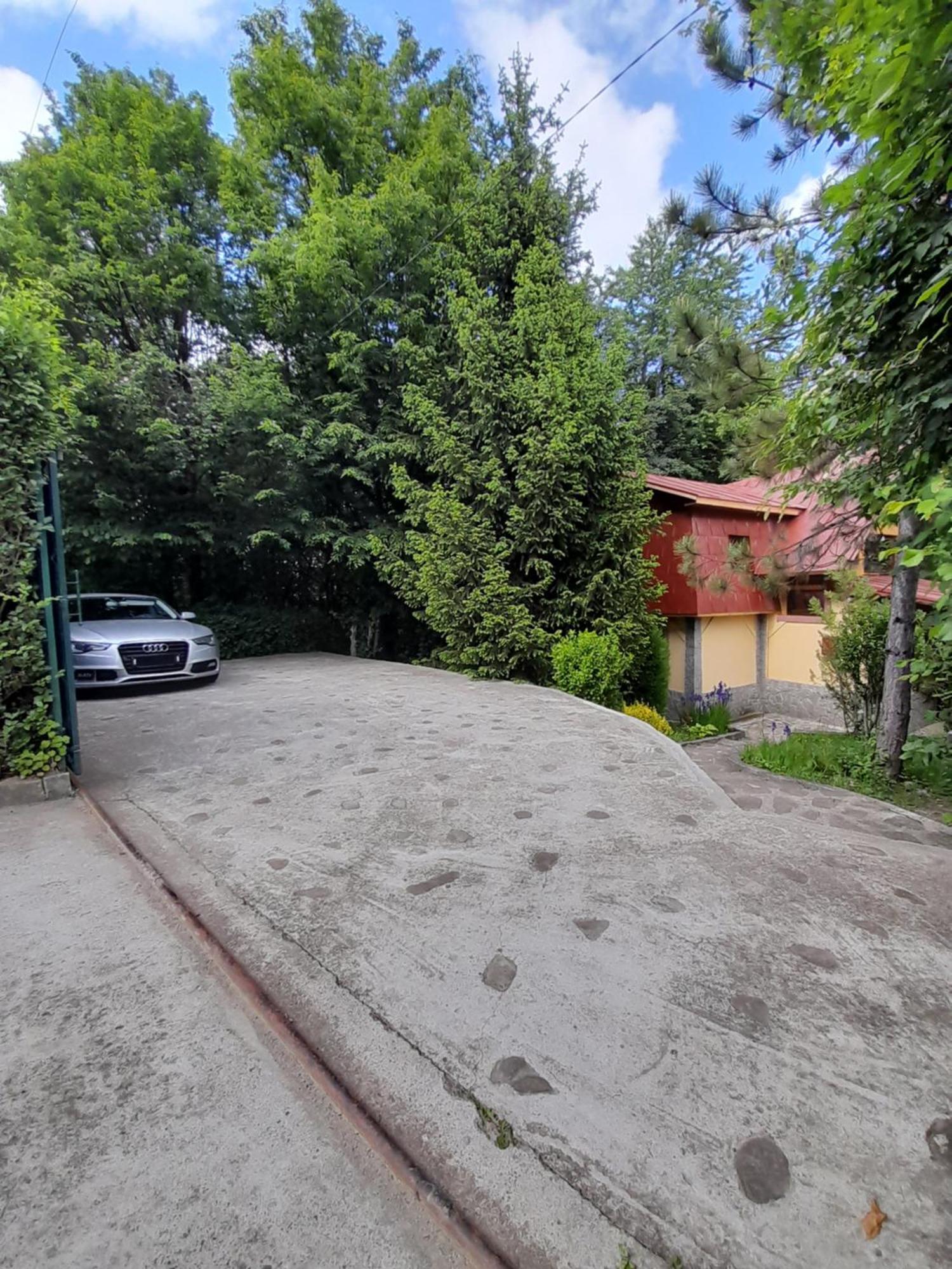 Cabana Din Padurea Valeni Vălenii de Munte المظهر الخارجي الصورة