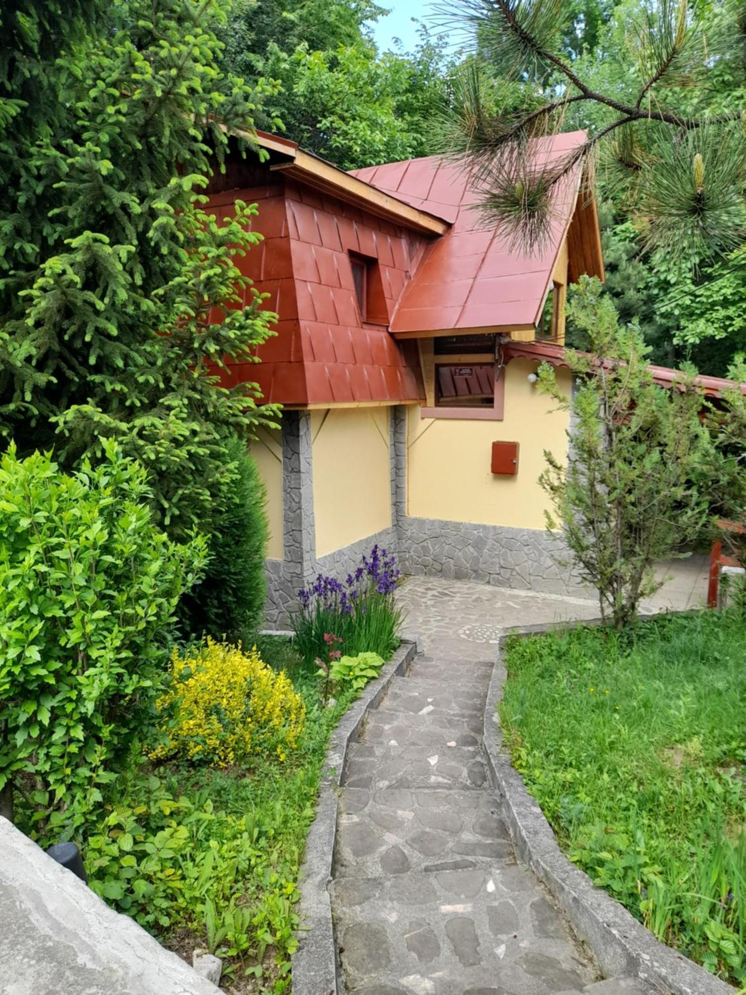 Cabana Din Padurea Valeni Vălenii de Munte المظهر الخارجي الصورة