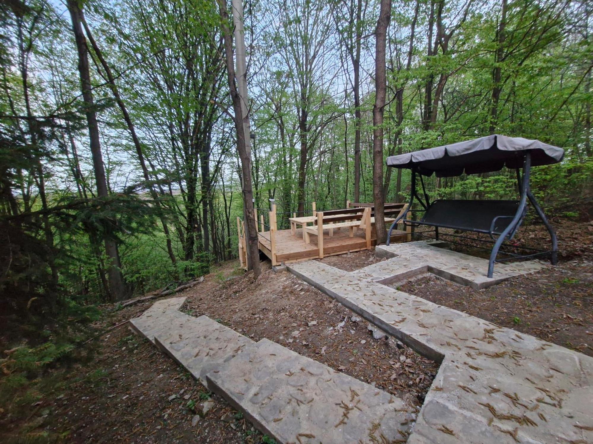 Cabana Din Padurea Valeni Vălenii de Munte المظهر الخارجي الصورة